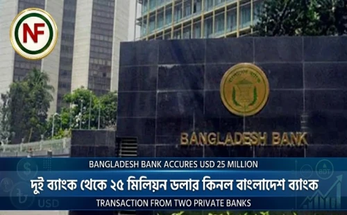 দুই ব্যাংক থেকে ২৫ মিলিয়ন ডলার কিনল বাংলাদেশ ব্যাংক