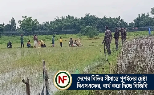 দেশের বিভিন্ন সীমান্তে পুশইনের চেষ্টা বিএসএফের, ব্যর্থ করে দিচ্ছে বিজিবি