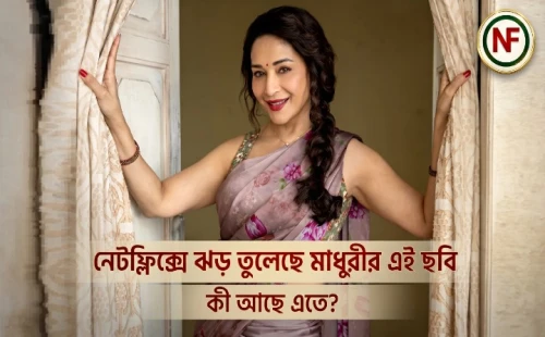 নেটফ্লিক্সে ঝড় তুলেছে মাধুরীর এই ছবি, কী আছে এতে?