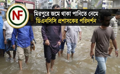 মিরপুরে জমে থাকা পানিতে নেমে ডিএনসিসি প্রশাসকের পরিদর্শন