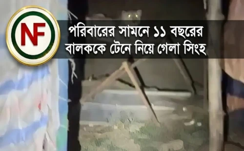 পরিবারের সামনে ১১ বছরের বালককে টেনে নিয়ে গেলো সিংহ