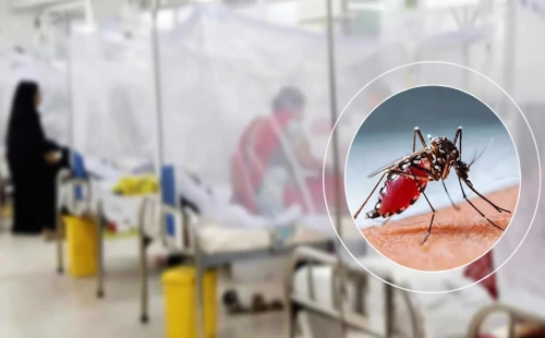 ডেঙ্গুতে আরো ২ জনের মৃত্যু, আক্রান্ত ৯৯৬